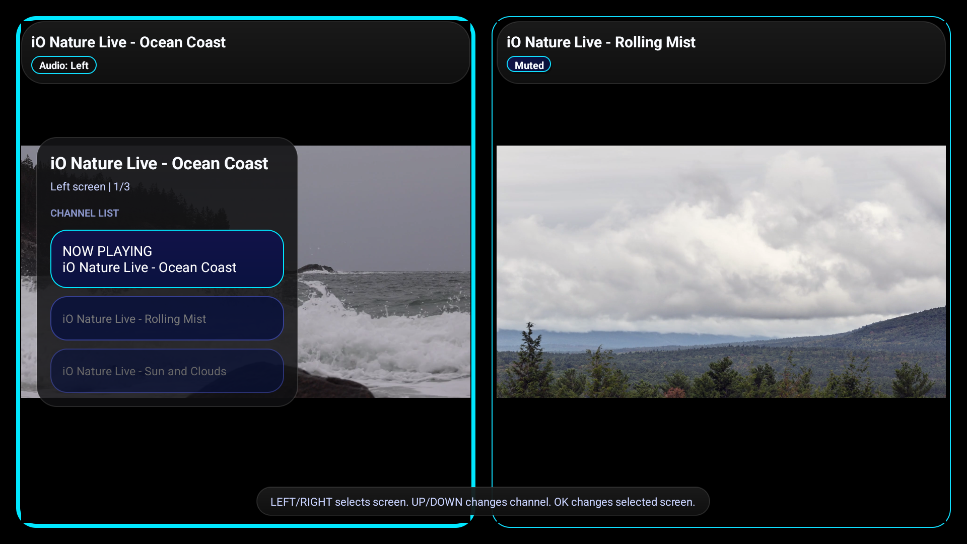 iOPlayer TV settings screen